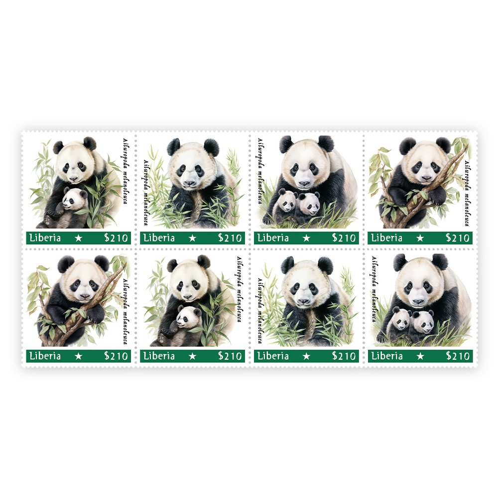 Het “Panda Mother with Child” Collectors-Pack 2023 - Edel Collecties